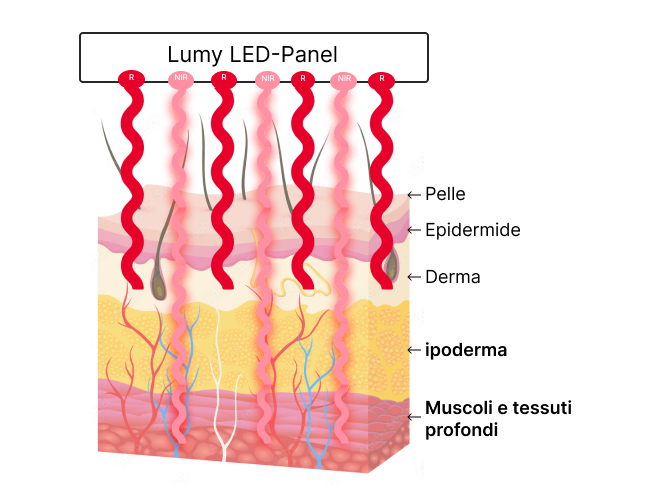 derma luce nel vicino infrarosso