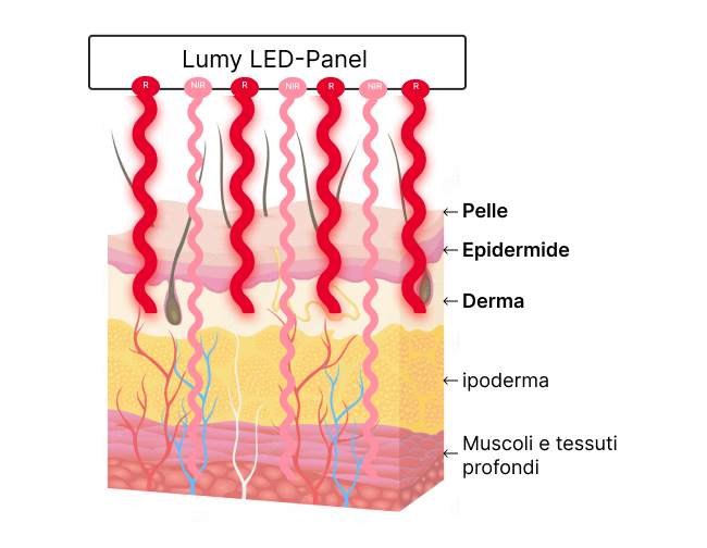 derma luce rossa